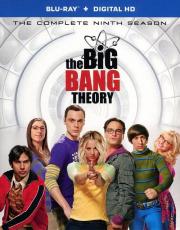 The Big Bang Theory: The Complete Ninth Season