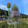 Miniature de la photo courante